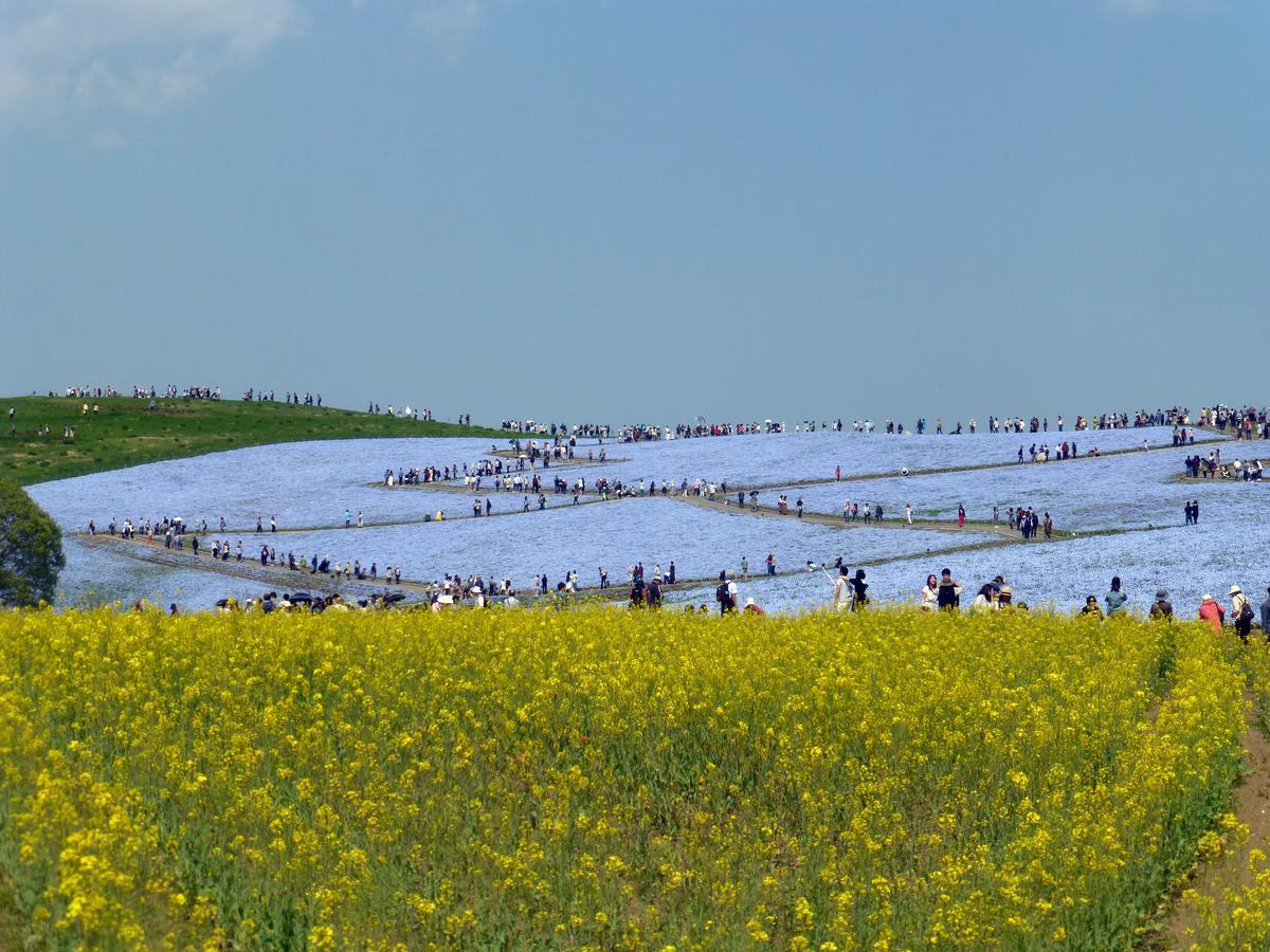 水户 温泉庄日式旅馆酒店 外观 照片